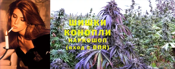 кокс Белокуриха