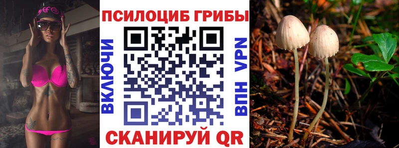 Галлюциногенные грибы MAGIC MUSHROOMS  где можно купить наркотик  Великие Луки 