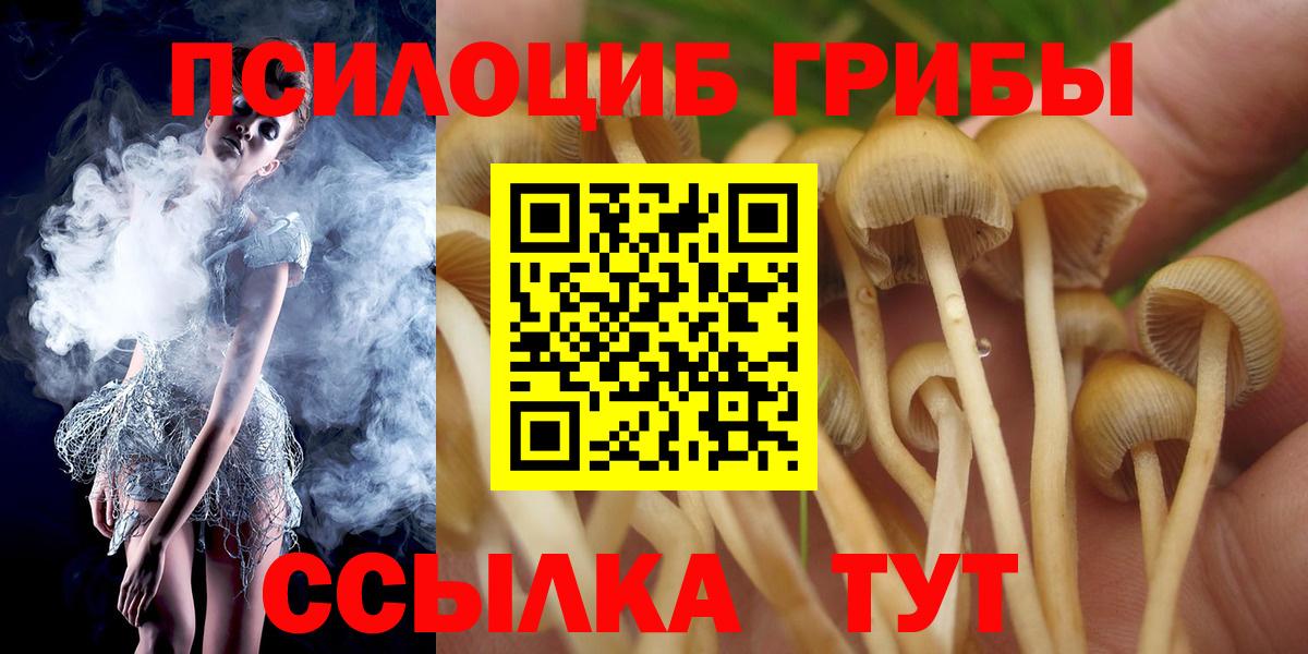 Галлюциногенные грибы GOLDEN TEACHER Великие Луки