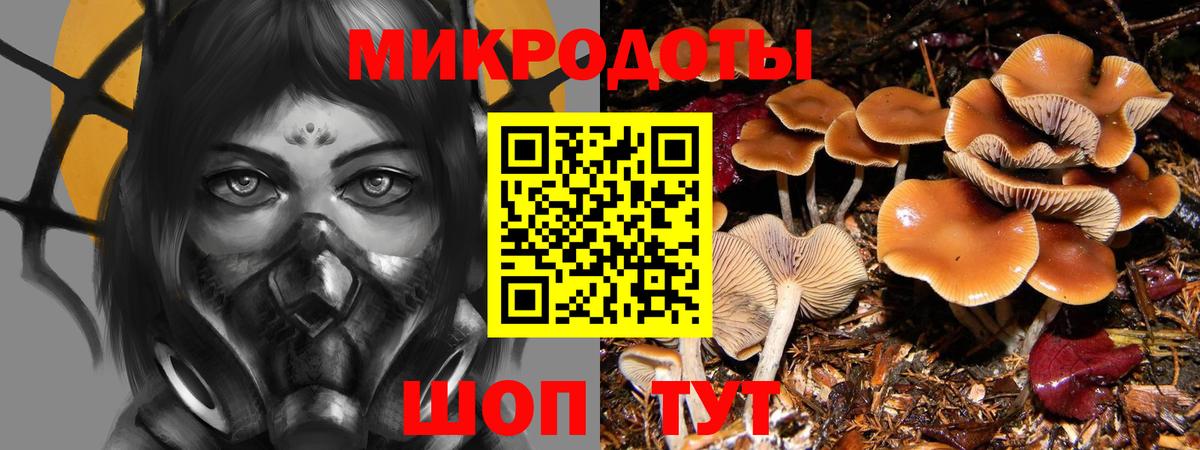 Великие Луки  Псилоцибиновые грибы ЛСД  Вход с VPN  Галлюциногенные грибы Psilocybe 